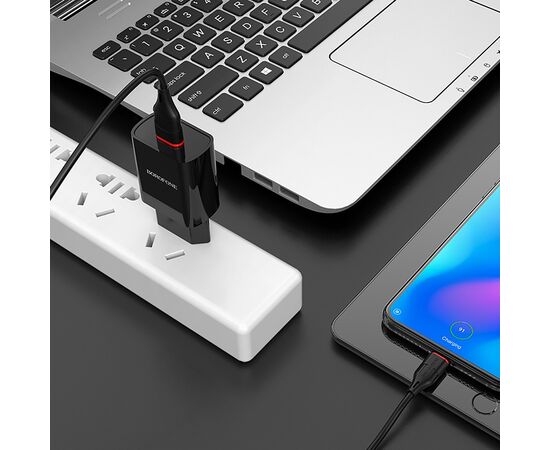  Адаптер Сетевой с кабелем Borofone BA20A Sharp 1USB/5V/2.1A +Type-C (black) 