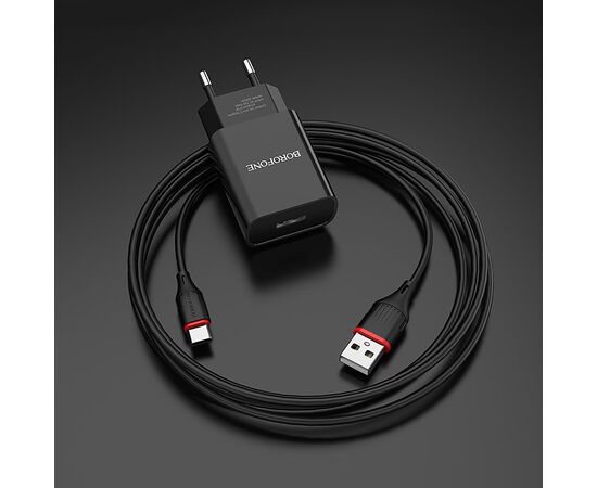  Адаптер Сетевой с кабелем Borofone BA20A Sharp 1USB/5V/2.1A +Type-C (black) 